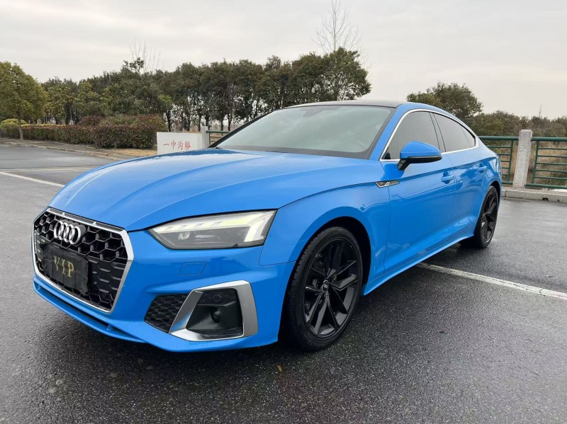 盐城22年奥迪A52