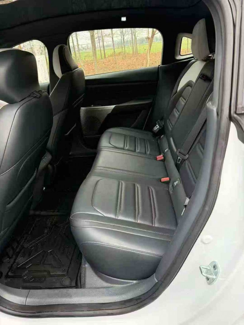 苏州24年东风奕派5