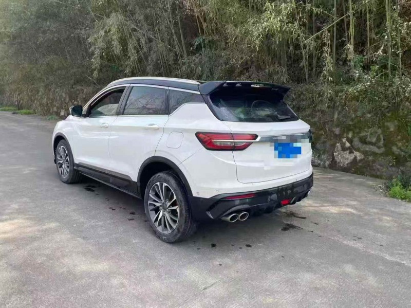 淮南18年吉利缤越8