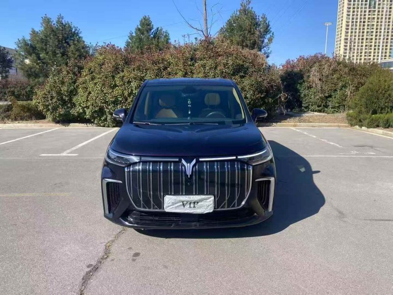 枣庄23年岚图汽车梦想家1