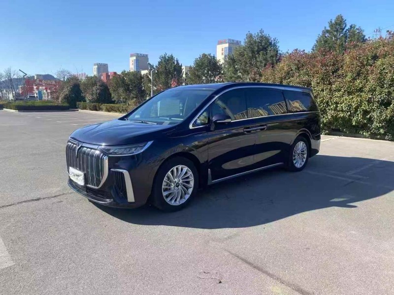 枣庄23年岚图汽车梦想家2