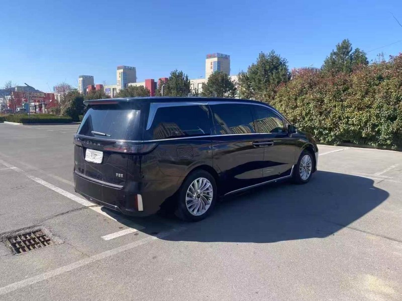 枣庄23年岚图汽车梦想家8