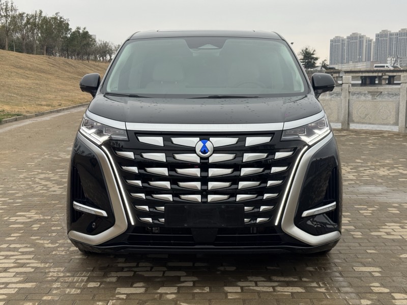 郑州24年腾势D91