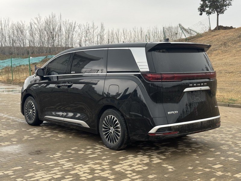 郑州24年腾势D96