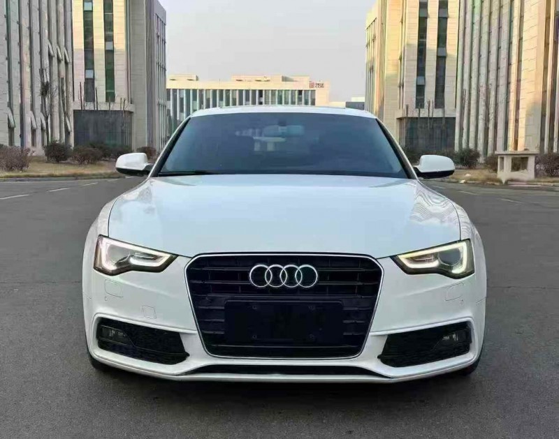 東營17年奧迪A51