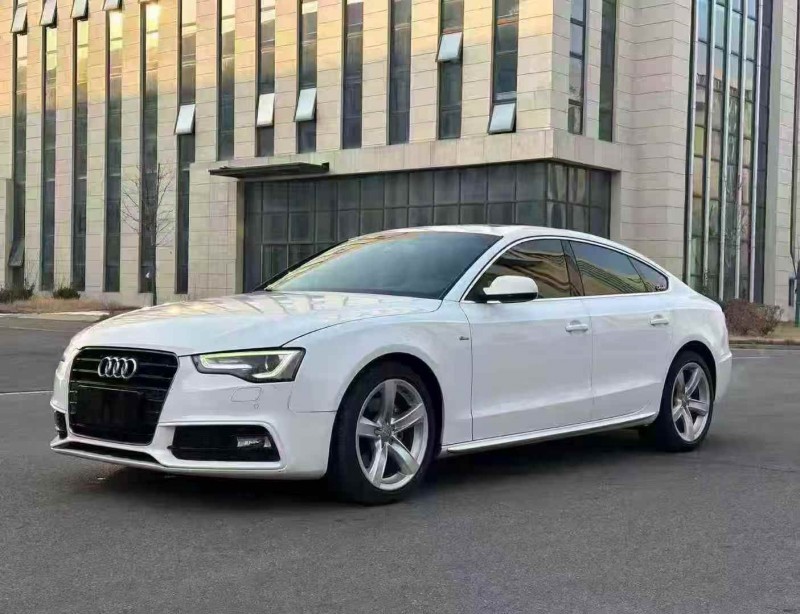 東營17年奧迪A52