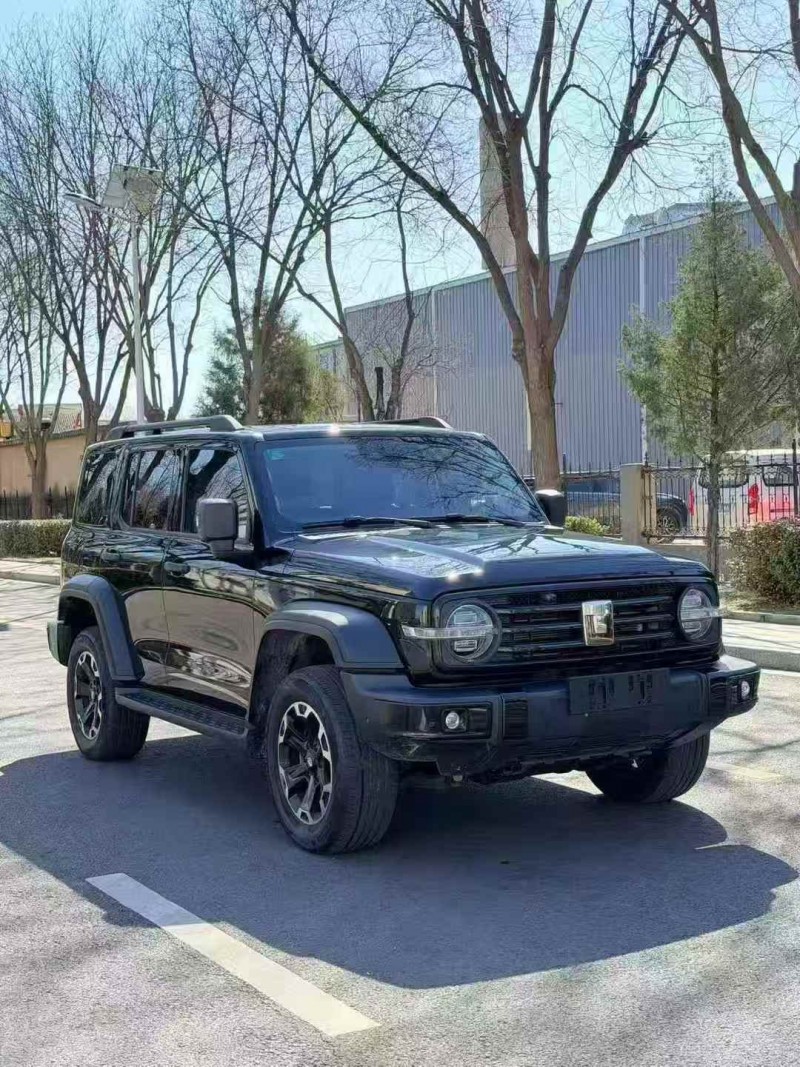 东营25年长城汽车坦克2