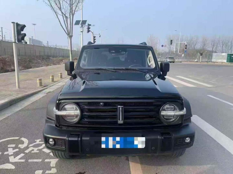 淄博21年长城汽车坦克1