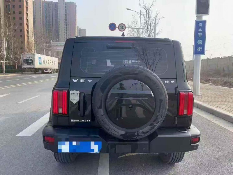 淄博21年长城汽车坦克9