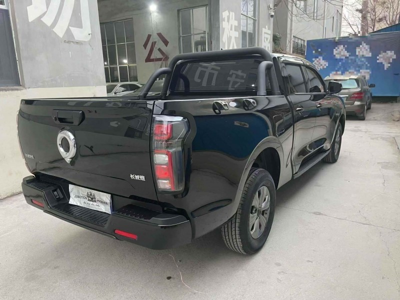 潍坊25年长城汽车炮 皮卡7