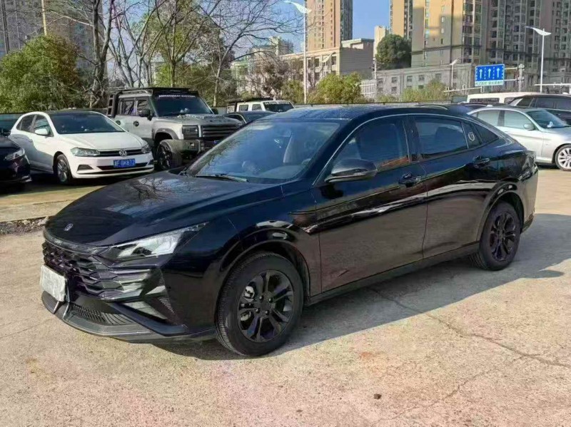 张家界25年东风奕炫3