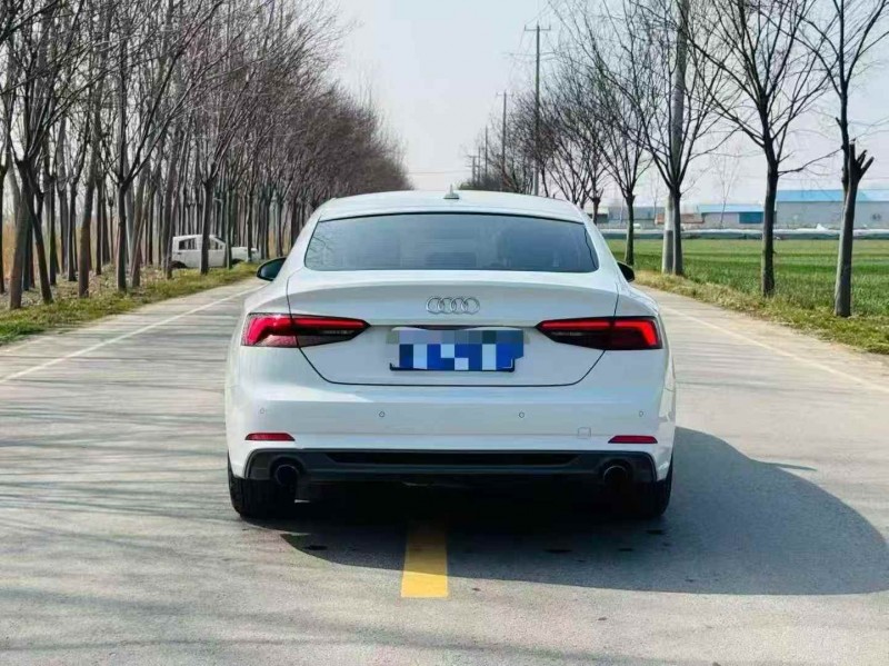 淮安19年奥迪A59