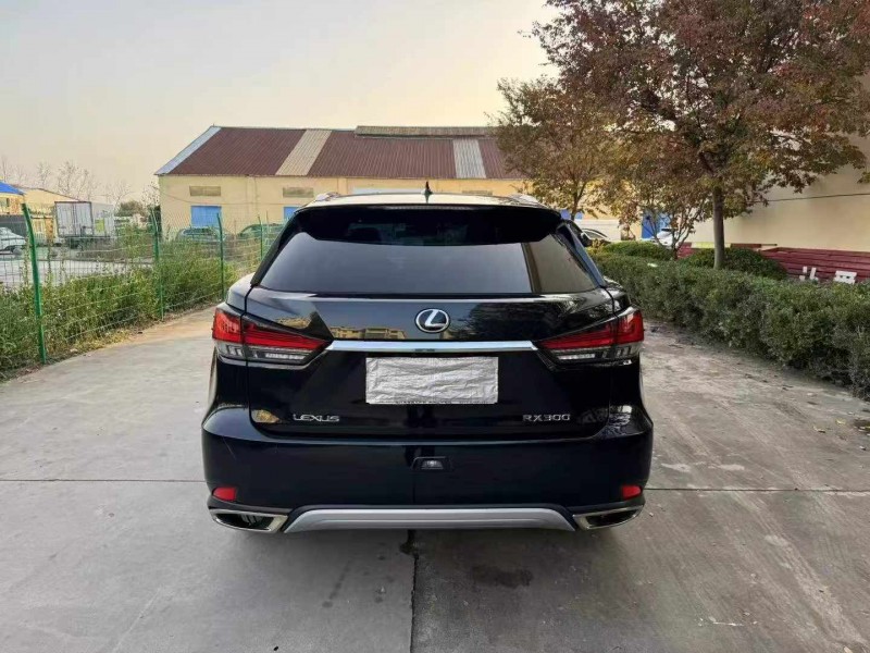 徐州21年雷克萨斯RX9