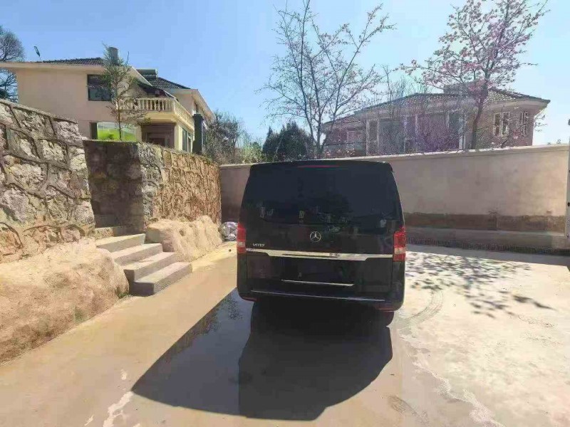 安順19年奔馳威霆8