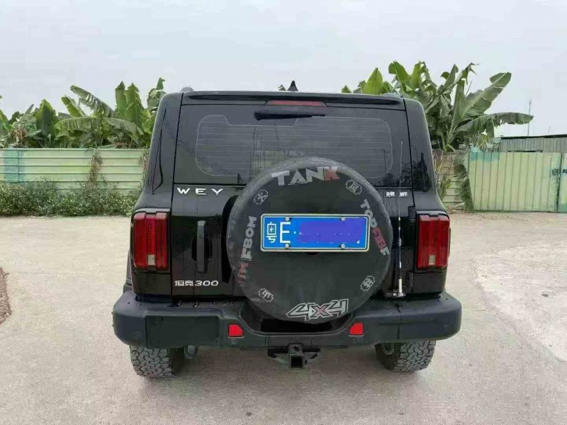 湛江21年长城汽车坦克9