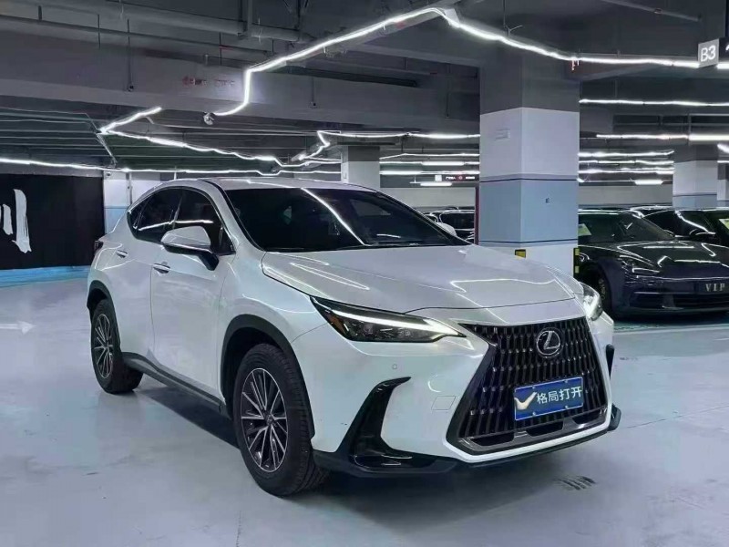 深圳24年雷克萨斯NX2