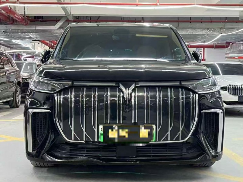 湛江23年岚图汽车梦想家1