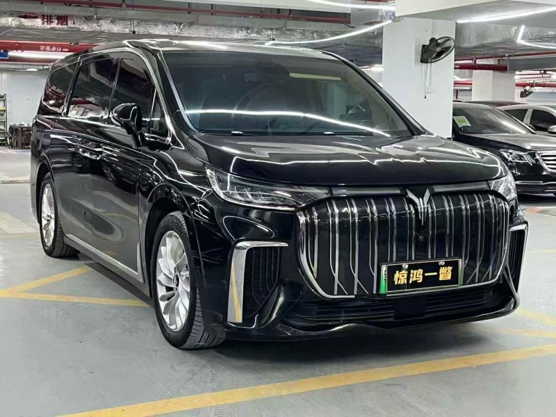 湛江23年岚图汽车梦想家3