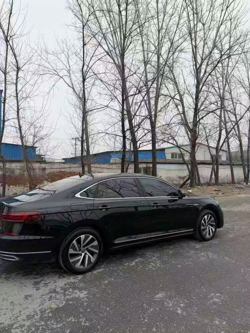 菏澤24年大眾帕薩特8