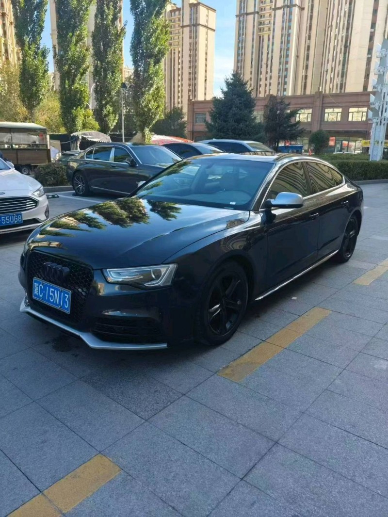 哈尔滨13年奥迪A51