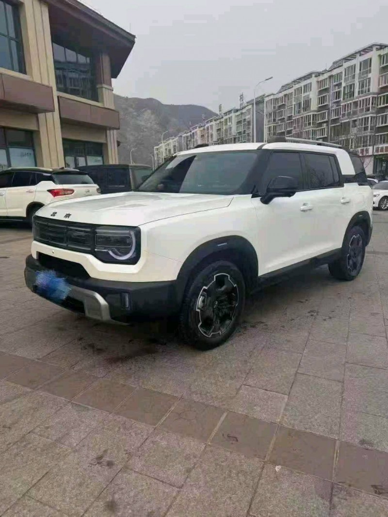 张家口24年北京BJ303