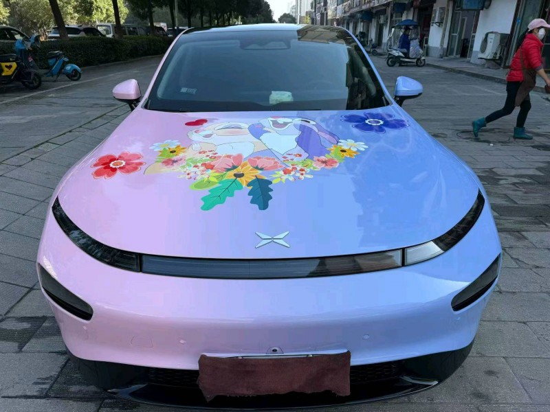 襄阳21年小鹏汽车p71