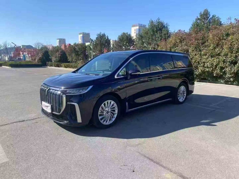 苏州23年岚图汽车梦想家2