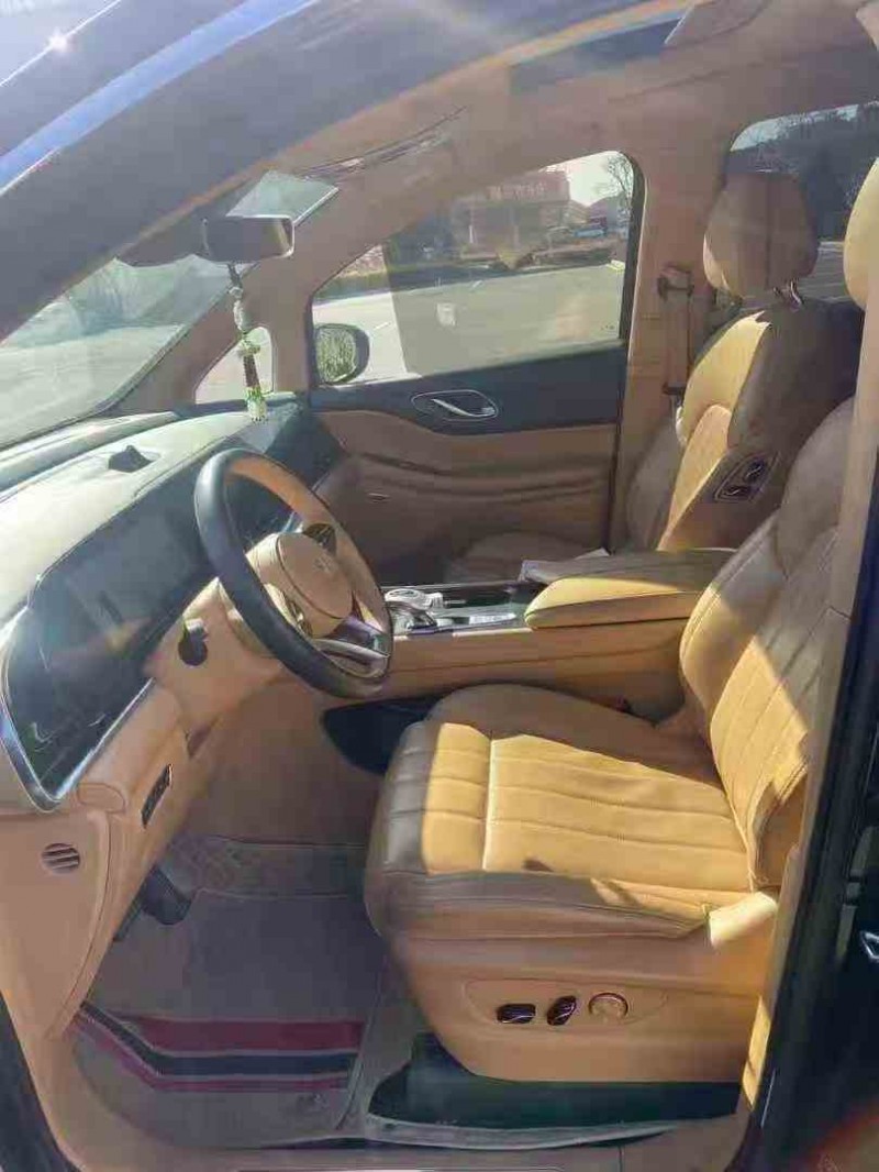 苏州23年岚图汽车梦想家4