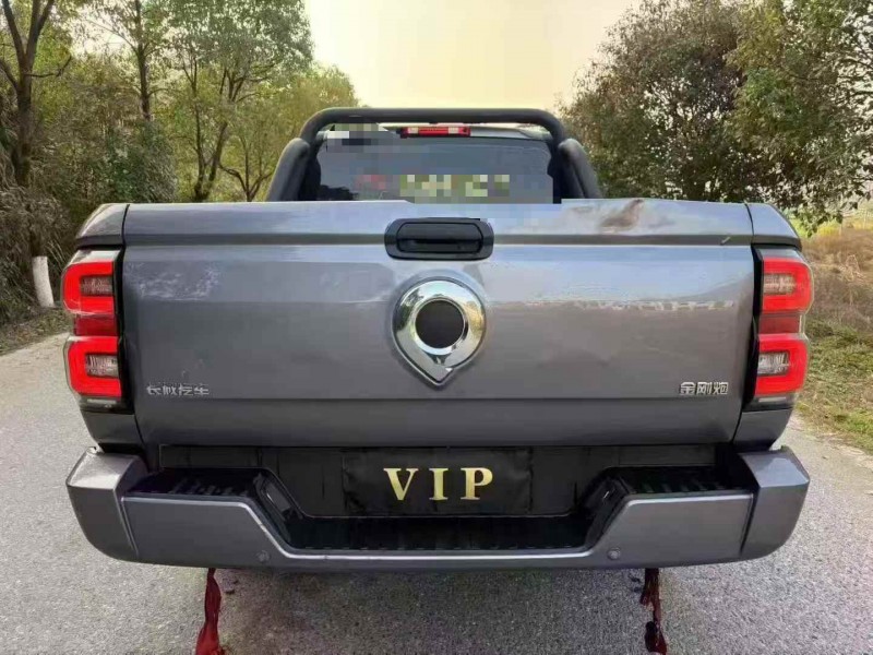 蘇州25年長城汽車炮 皮卡9