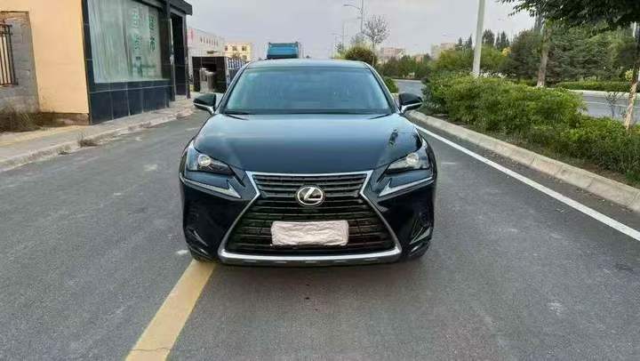 绍兴19年雷克萨斯NX1