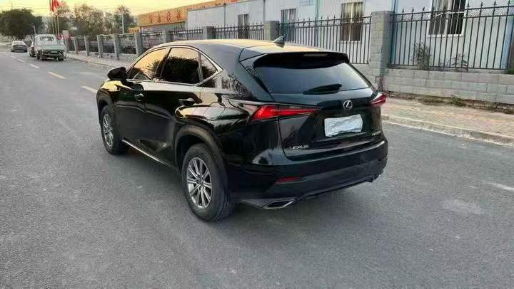 绍兴19年雷克萨斯NX8