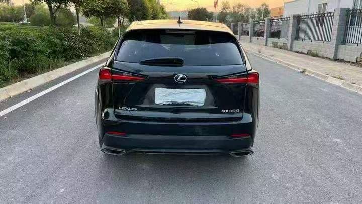 绍兴19年雷克萨斯NX9