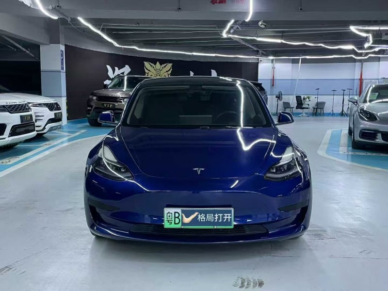 汕頭21年特斯拉MODEL 31