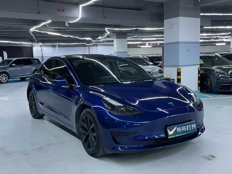 汕頭21年特斯拉MODEL 32