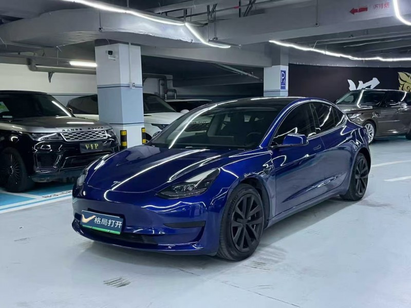 汕頭21年特斯拉MODEL 33