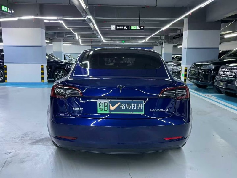 汕頭21年特斯拉MODEL 39