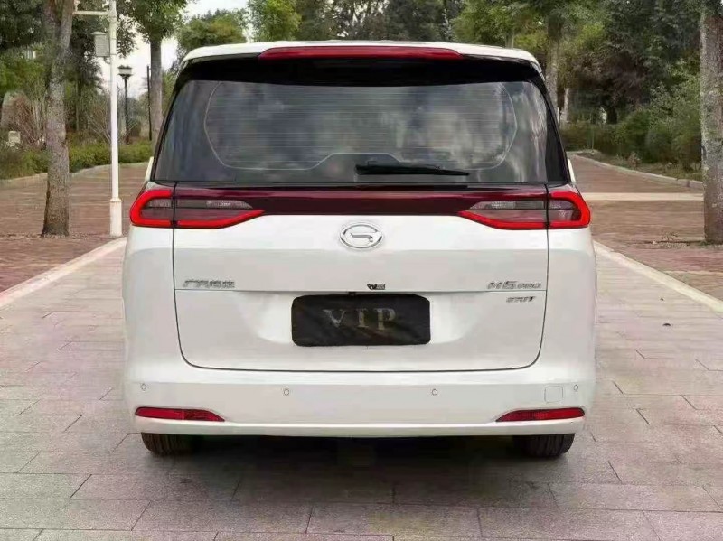 湛江23年传祺M8/GM88