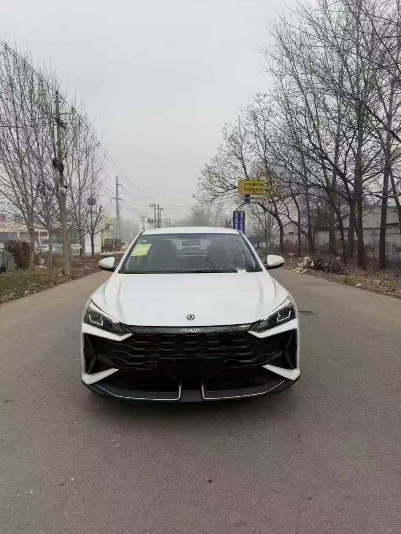 菏泽25年东风奕炫1