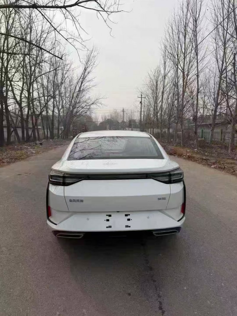 菏泽25年东风奕炫9