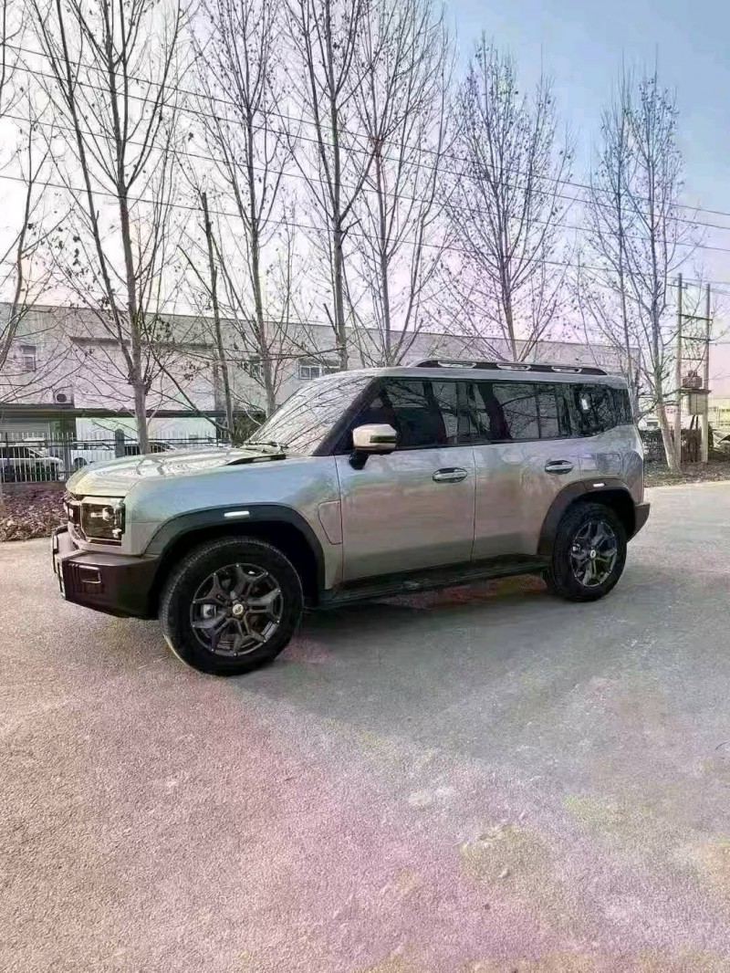 菏泽25年奇瑞捷途2