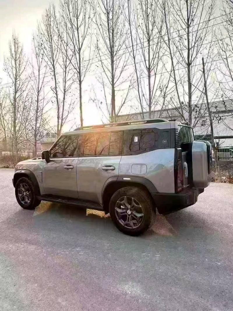 菏泽25年奇瑞捷途8