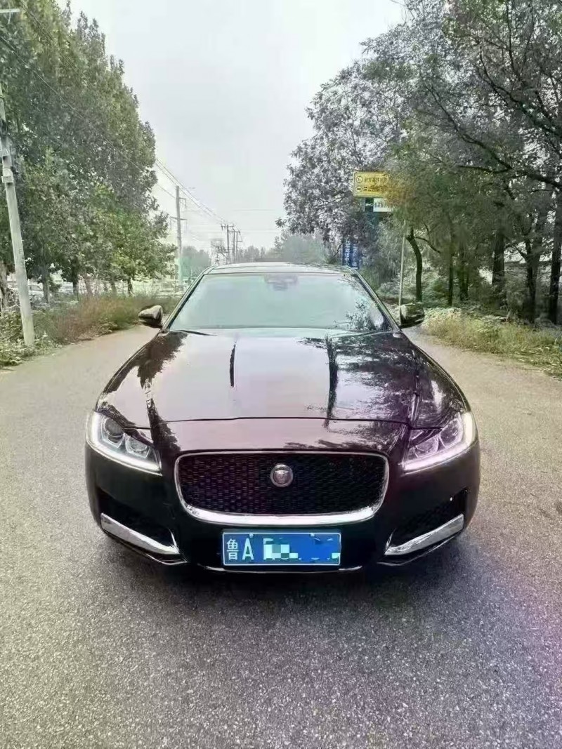 菏泽20年捷豹XFL1