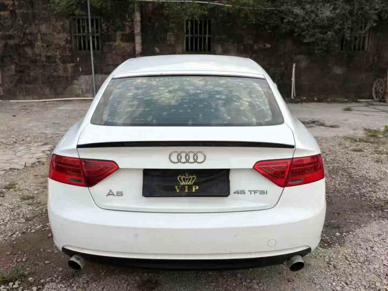 汕頭16年奧迪A59