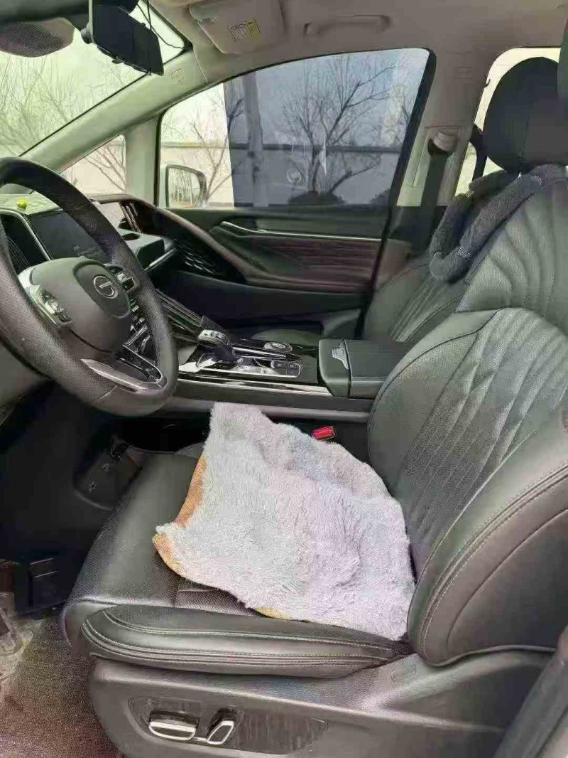 徐州24年传祺M8/GM86