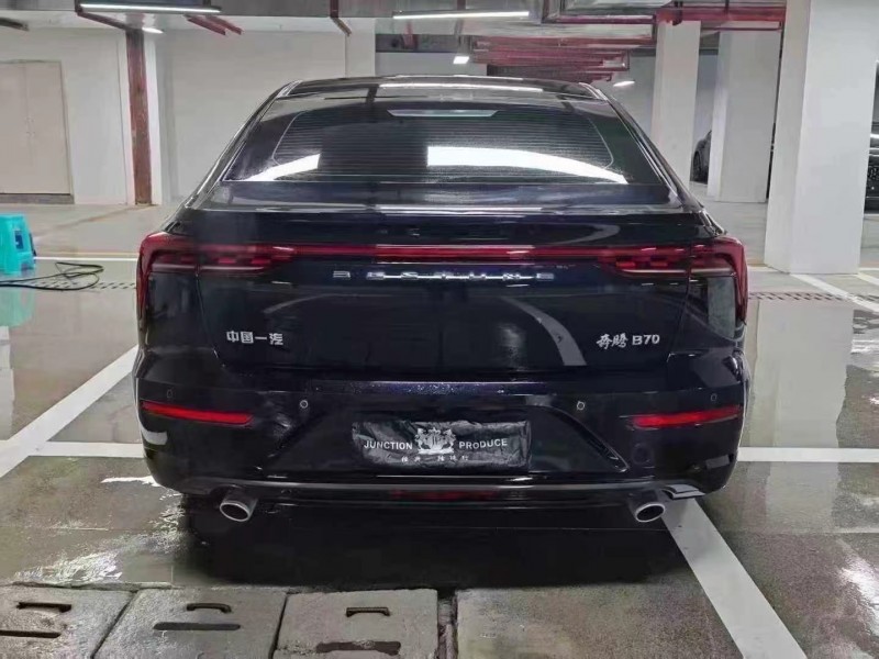 畢節24年奔騰B709