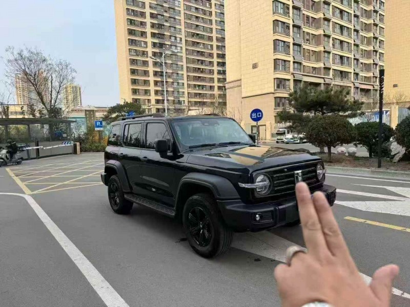 济宁24年长城汽车坦克2