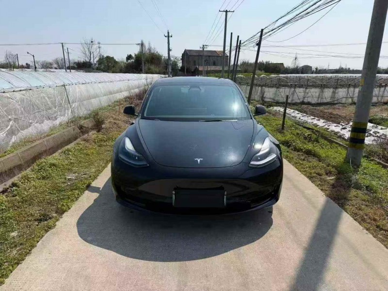 绍兴23年特斯拉MODEL 31