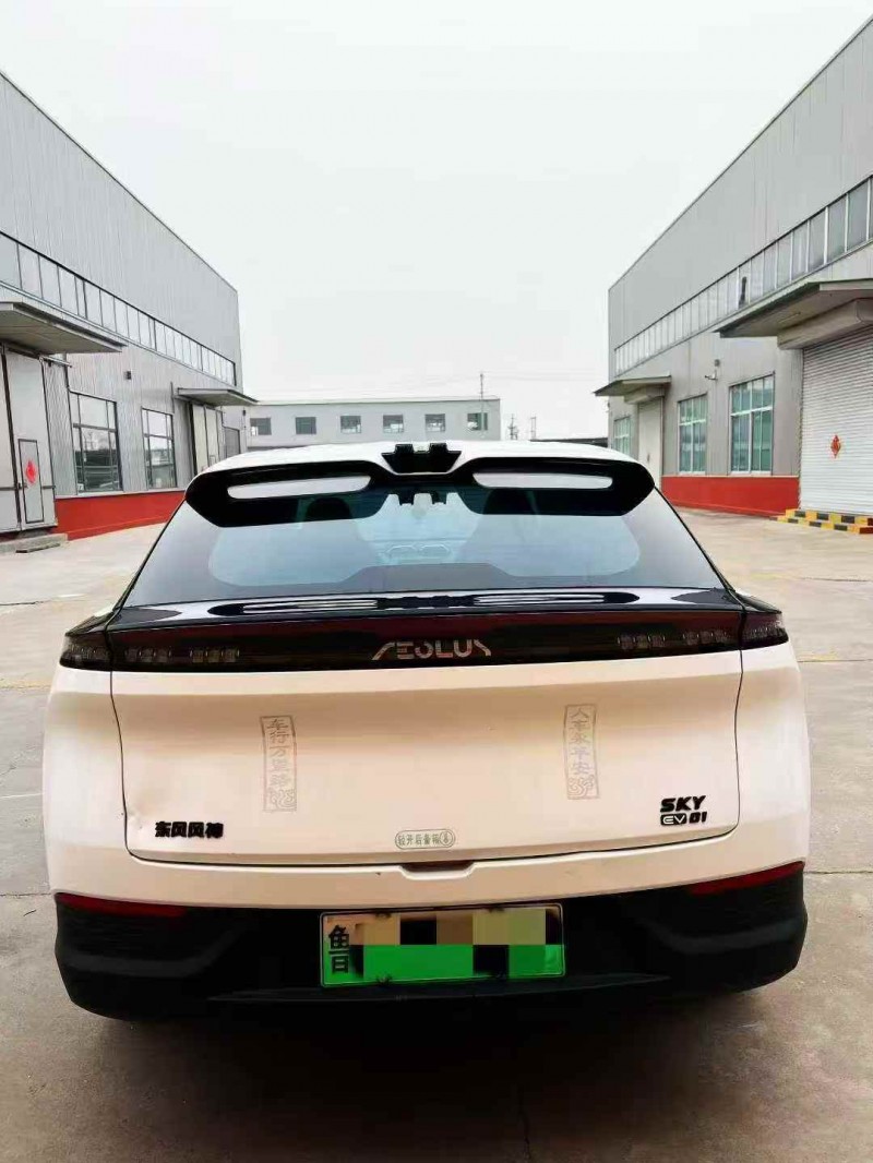 濰坊24年東風風神9