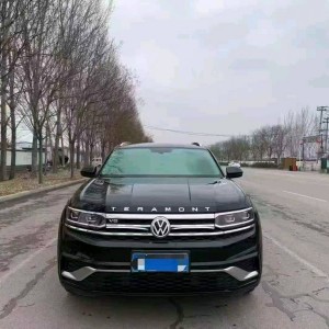 东营20年大众途昂