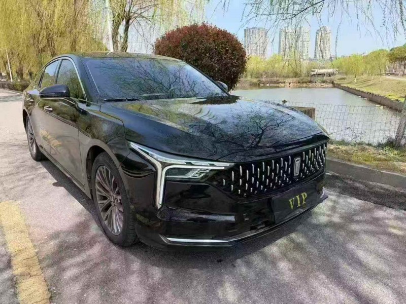 新余24年奔腾B702